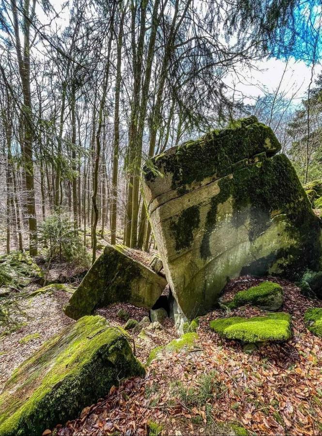 Apartmán Blick Punkt Tann  Exteriér fotografie